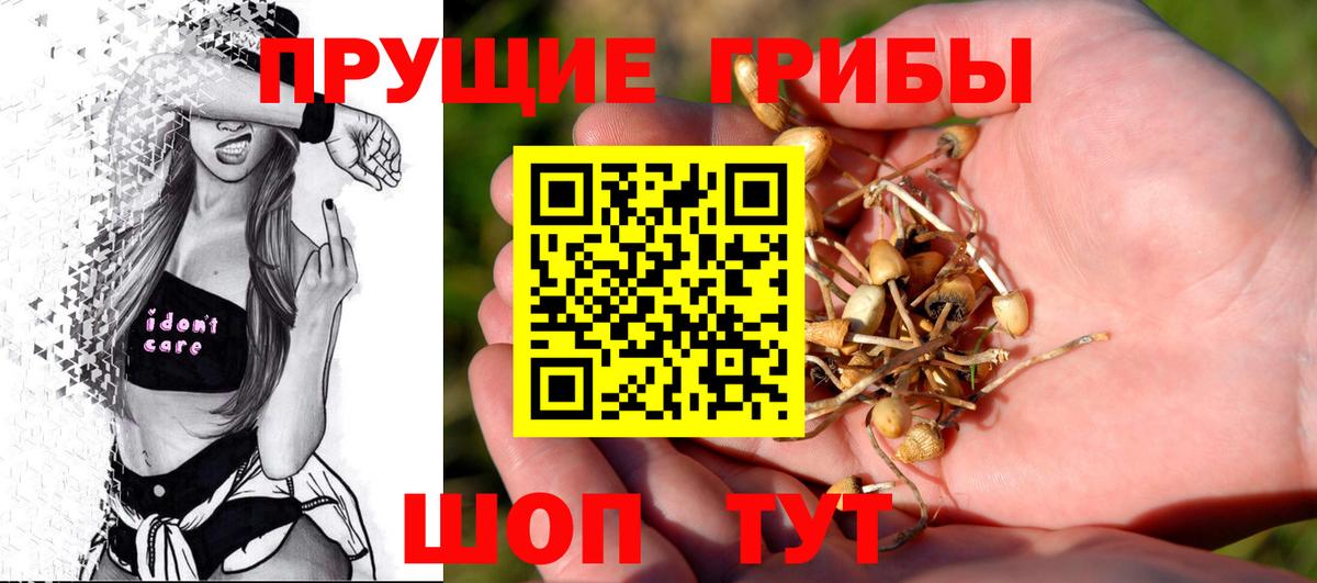 Галлюциногенные грибы прущие грибы  Вход с VPN  Полевской  Псилоцибиновые грибы MAGIC MUSHROOMS 