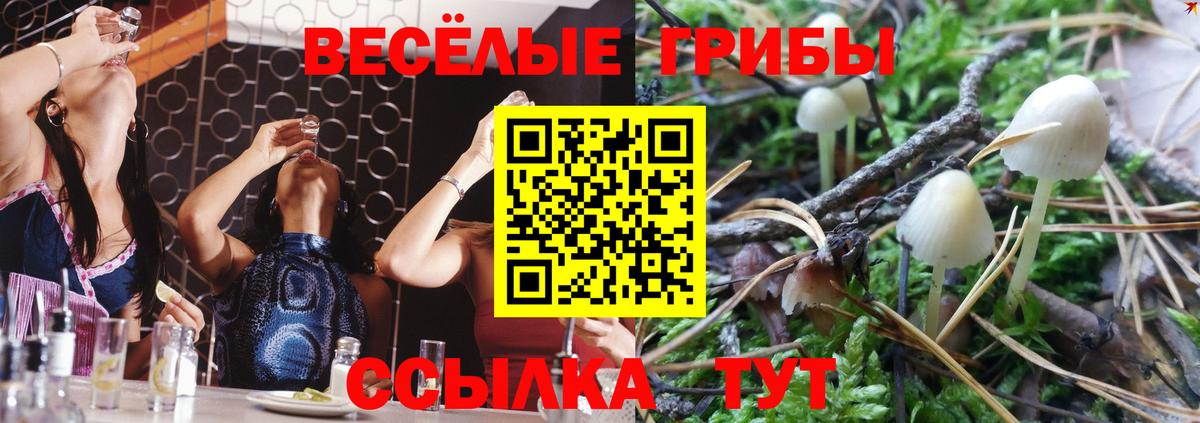 Галлюциногенные грибы мухоморы Полевской